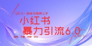 最新小红书暴力引流私域玩法,日引200+兼职粉,简单无脑操作-湘创网