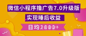 小程序撸广告最新7.0玩法,全新升级玩法,日均多张-湘创网