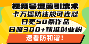 (13400期)视频号混剪引流技术,500万播放引流17000创业粉,操作简单当天学会-湘创网