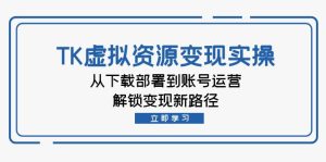 TK虚拟资源变现实操:从下载部署到账号运营,解锁变现新路径-湘创网