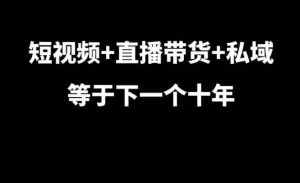 短视频+直播带货+私域等于下一个十年,大佬7年实战经验总结-湘创网