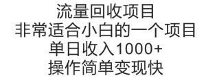 流量回收项目,非常适合小白的一个项目单日收入多张,操作简单变现快-湘创网