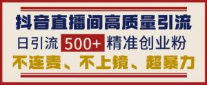 抖音直播间引流创业粉,无需连麦、不用上镜、超暴力,日引流500+高质量精准创业粉-湘创网