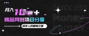 月入十个的网创项目分享,成年人的最快翻身之道-湘创网