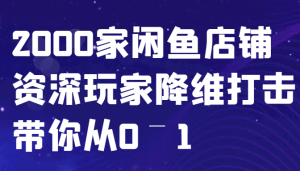 闲鱼已经饱和?纯扯淡!2000家闲鱼店铺资深玩家降维打击带你从0–1-湘创网