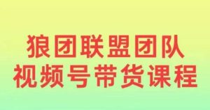 狼团联盟2024视频号带货,0基础小白快速入局视频号-湘创网
