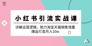 小红书引流实战课:详解运营逻辑,助力淘宝天猫销售增量,爆品打造月入10w-湘创网