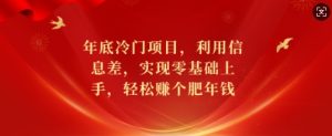 年底冷门项目,利用信息差,实现零基础上手,轻松赚个肥年钱【揭秘】-湘创网