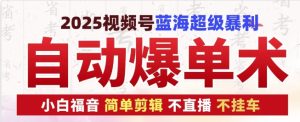2025视频号蓝海超级暴利自动爆单术1.0 ,小白褔音 简单剪辑 不直播 不挂车-湘创网