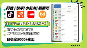 抖音快手小红书视频号全平台全自动引流获客系统,截流自热双重打粉,每天500+精准粉-湘创网
