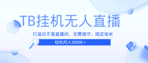 (13505期)TB无人直播,打造日不落直播间,无需真人出镜,无需值守,打造日不落直...-湘创网