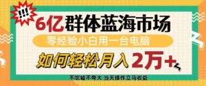 6亿群体蓝海市场,零经验小白用一台电脑,如何轻松月入过w【揭秘】-湘创网