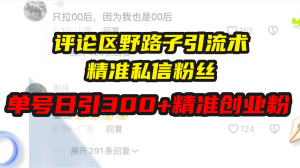 (13676期)评论区野路子引流术,精准私信粉丝,单号日引流300+精准创业粉-湘创网