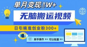 无脑搬运视频号可批量复制,新手即可操作,日引精准创业粉300+,月变现过W 【揭秘】-湘创网