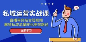 私域运营实战课:直播带货结合短视频,解锁私域流量转化高效路径-湘创网