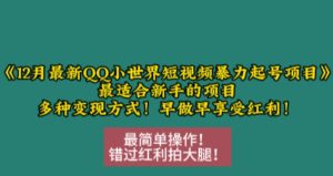 12月最新QQ小世界短视频暴力起号项目,最适合新手的项目,多种变现方式-湘创网