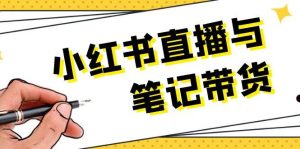小红书直播与笔记带货:选品、上架、笔记写作、视频剪辑及直播话术等-湘创网