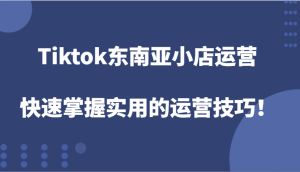 Tiktok东南亚小店运营，快速掌握实用的运营技巧！-湘创网