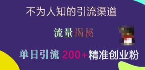 不为人知的引流渠道,流量揭秘,实测单日引流200+精准创业粉【揭秘】-湘创网
