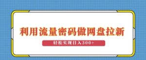 利用流量密码做网盘拉新,操作简单适合0基础小白,轻松实现日入3张-湘创网