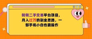 转转二手交易平台项目,月入过W的副业思路,一部手机小白也能操作-湘创网