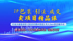 (13780期)《IP包装·暴力引流·闪电成交卖项目精品课》如何在众多导师中脱颖而出?-湘创网