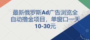 最新俄罗斯Ad广告浏览全自动撸金项目，单窗口一天10-30元-湘创网