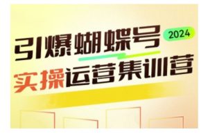 引爆蝴蝶号实操运营,助力你深度掌握蝴蝶号运营,实现高效实操,开启流量变现之路-湘创网