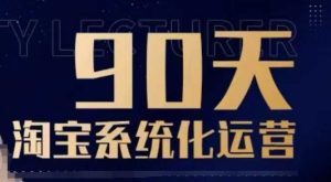 90天淘宝系统化运营,从入门到精通-湘创网