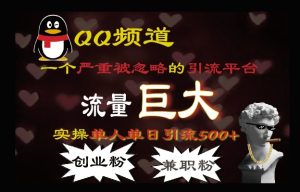 QQ最新引流方法,流量巨大,实操单日引流500+创业粉、兼职粉-湘创网