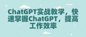 ChatGPT实战教学,快速掌握ChatGPT,提高工作效率-湘创网