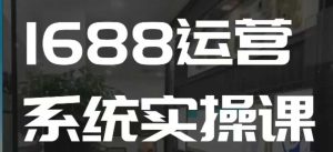 1688高阶运营系统实操课,快速掌握1688店铺运营的核心玩法-湘创网