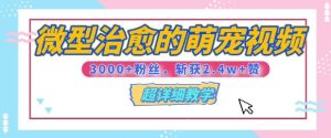 【揭秘】微型治愈的萌宠视频,3000+粉丝,6秒的视频斩获2.4w+赞【附详细教程】-湘创网
