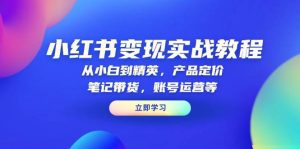 小红书变现实战教程：从小白到精英，产品定价，笔记带货，账号运营等-湘创网