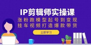 IP剪辑师实操课：涨粉跑模型起号到变现，挂车视频打造爆款带货-湘创网