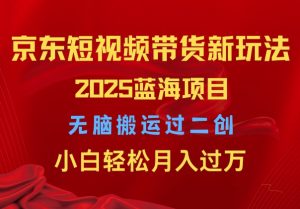 2025京东短视频带货新玩法,无脑搬运过二创,小白轻松月入过W-湘创网