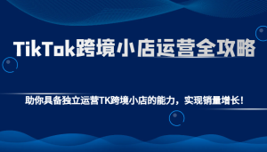 TikTok跨境小店运营全攻略:助你具备独立运营TK跨境小店的能力,实现销量增长!-湘创网