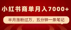 小红书商单最新玩法,半个月涨粉过万,五分钟一条笔记,月入7000+-湘创网
