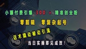 小额付费引爆 300 + 精准创业粉,零剪辑、零复杂起号,话术撬动被动引流,当日实操即见成效-湘创网