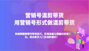 营销号混剪带货,用营销号形式做混剪带货,快速掌握带货技巧,实现流量与销量双增长-湘创网