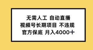 无需人工自动直播,视频号长期项目不违规,官方保底月入4000左右-湘创网