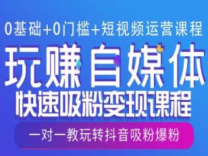 0基础+0门槛+短视频运营课程,玩赚自媒体快速吸粉变现课程,一对一教玩转抖音吸粉爆粉-湘创网