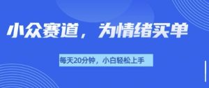 小众赛道,我的治愈系电子抱枕,让用户为情绪买单-湘创网