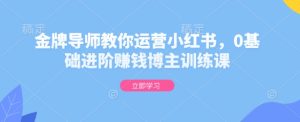 金牌导师教你运营小红书,0基础进阶赚钱博主训练课-湘创网