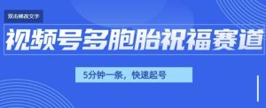 视频号最近爆火赛道,五胞胎送福,圈粉中老年,快速涨粉起号带货-湘创网