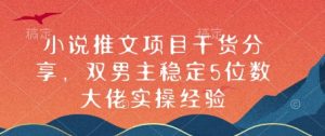 小说推文项目干货分享,双男主稳定5位数大佬实操经验-湘创网