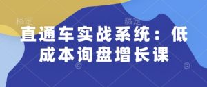 直通车实战系统:低成本询盘增长课,让个人通过技能实现升职加薪,让企业低成本获客,订单源源不断-湘创网