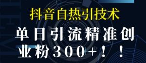抖音自热引流,单日引流精准创业粉300+-湘创网