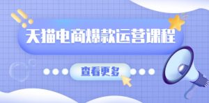 (13910期)天猫电商爆款运营课程,爆款卖点提炼与流量实操,多套模型全面学习-湘创网