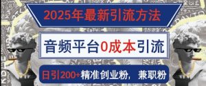 2025年最新引流方法,音频平台0成本引流,日引200+精准创业粉-湘创网